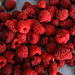 les framboises du jardin