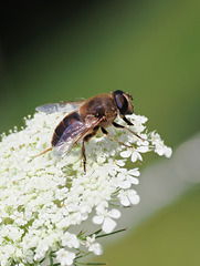 P7140331