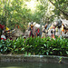 Jungle Cruise in Disneyland, June 2016