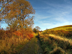 Autumn fell-side track, Cumbria
