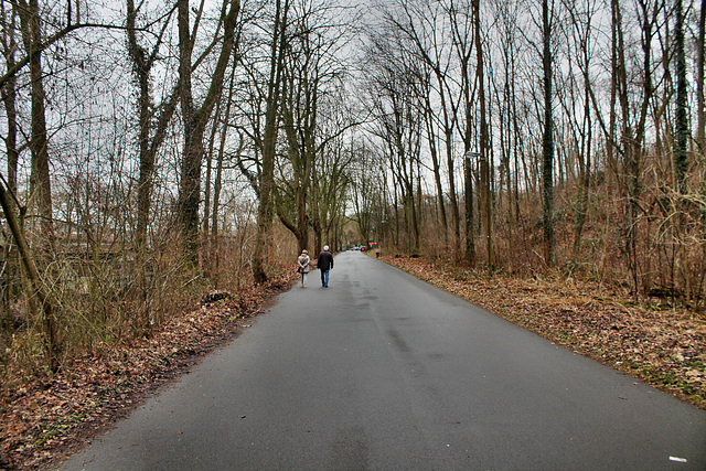 Hardenbergufer (Essen-Fischlaken) / 4.02.2017