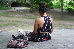 Me llamó la atención  la imagen de la chica y el perrito en Central Park New York