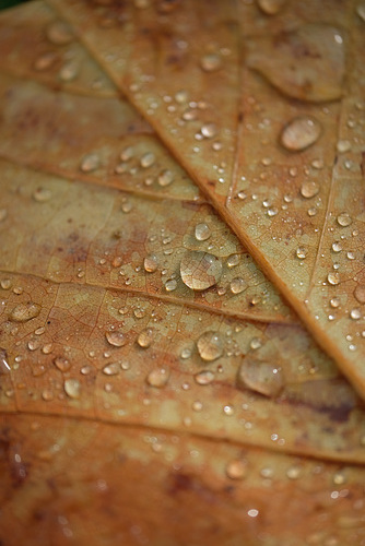 DSCF1136