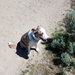 20190502 140557 20190502 140557