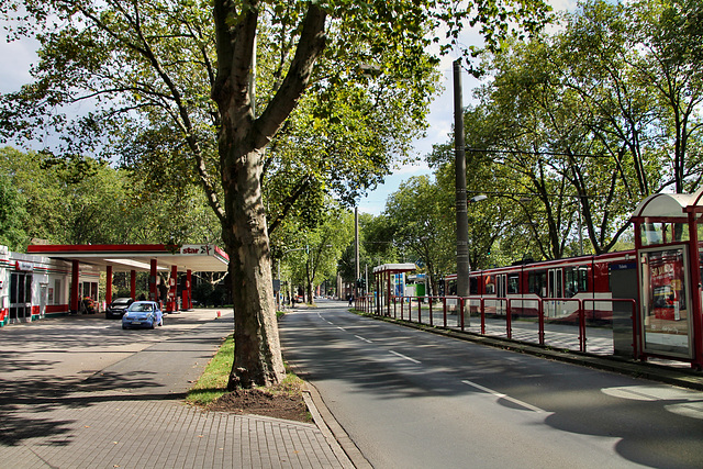 Duisburger Straße (Duisburg-Neumühl) / 6.09.2020