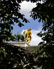 Depuis le Jardin du Carrousel