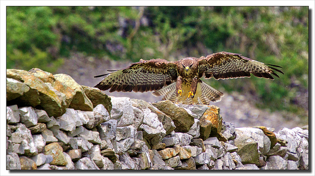 HWW..............From the Yorkshire Dales