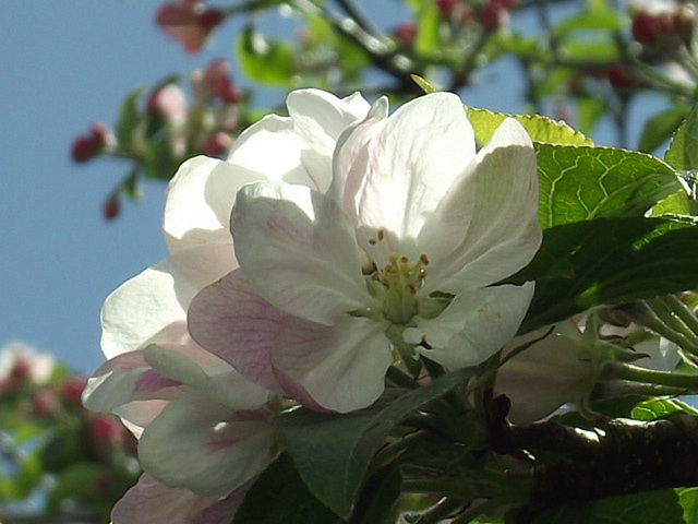 DSCF5301