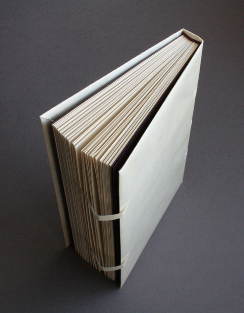 Limp vellum binding