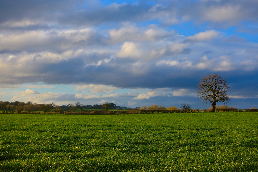 Rapidly changing cloud formations