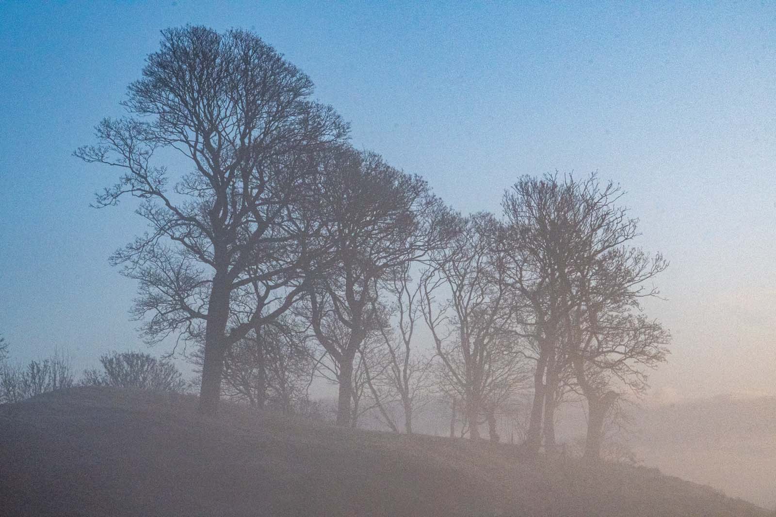 Landscape images from a walk this morning