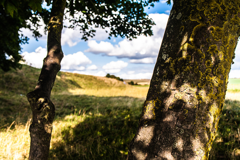 Wiltshire Landscape, Summer, 2018