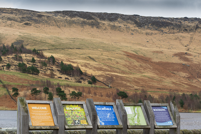 Dovestone noticeboards