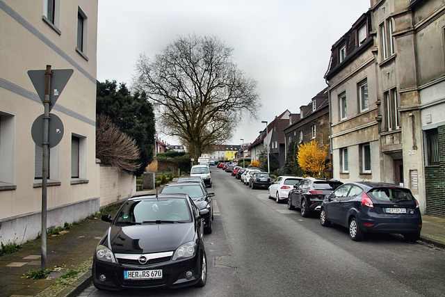 Beckumer Straße (Herne-Holsterhausen) / 8.04.2023