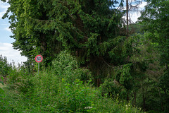 Virneburg in der Eifel