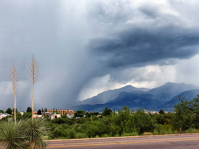 Rain Moves In