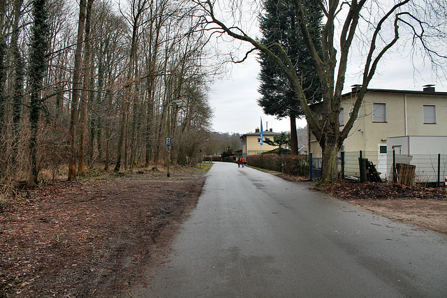 Hardenbergufer (Essen-Fischlaken) / 4.02.2017