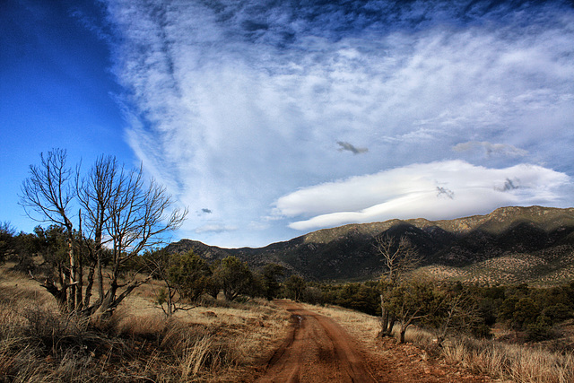 Forest Service Road #488