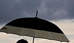 le goeland et le parapluie