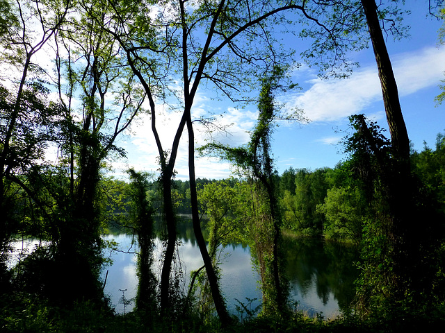 DE - Brühl - Hiking along the Ville lakes