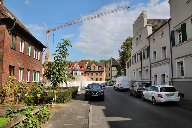 Veilchenstraße (Duisburg-Neumühl) / 6.09.2020