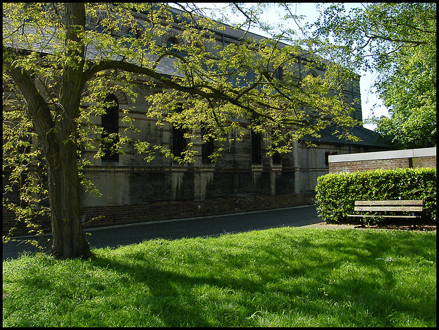 spring tree at Dawson Place