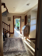 Early morning light