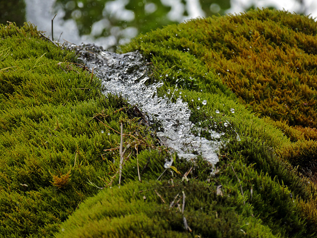 Wasserfall Dreimühlen bei Üxheim-Ahütte, frisches Wasser