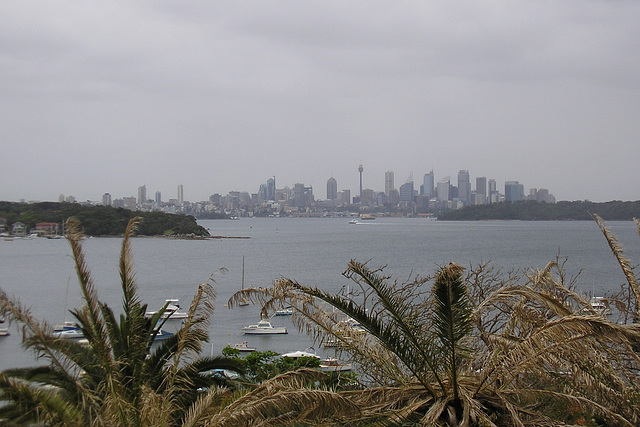 View From Watsons Bay