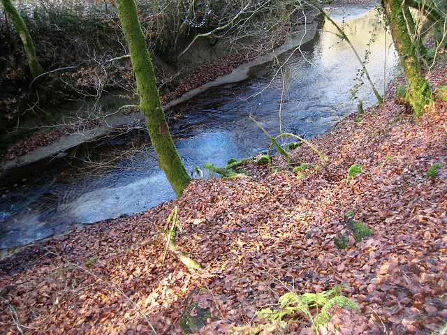 Wanderung am Gäblerbach/Bern