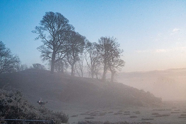 Landscape images from a walk this morning