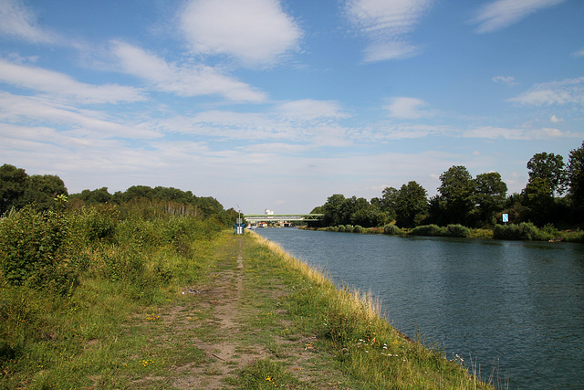 Wesel-Datteln-Kanal bei Hervest (Dorsten) / 19.07.2020