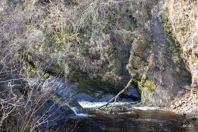 The Dorback Falls