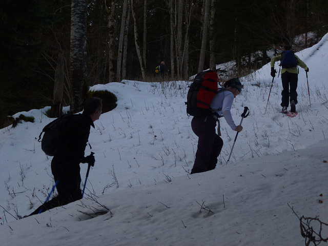 20150101 -03 Raquettes Vercors (65) al