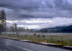 Childs Meadows. Tehama County, CA - Sept. 1989