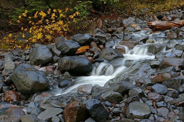 Near Rocky Creek