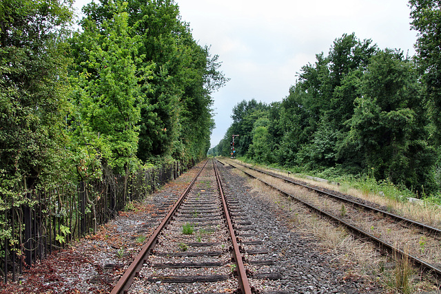 Bahnstrecke Oberhausen–Wesel (Duisburg-Walsum) / 16.07.2017
