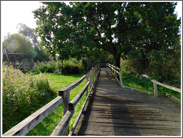 A la réserve naturelle de Romelaere (62)