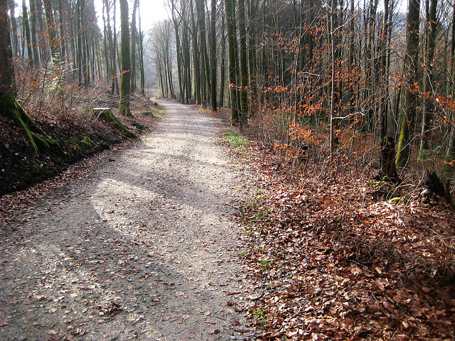 Wanderung am Gäblerbach/Bern