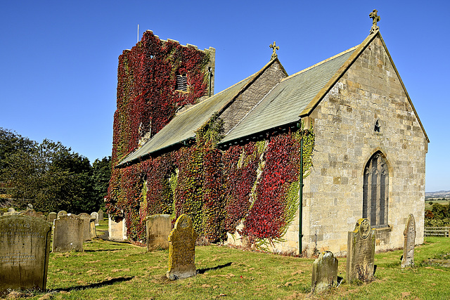 St. John's Autumn Coat