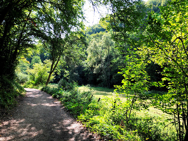 DE - Nohn - Landschaft bei der Nohner Mühle