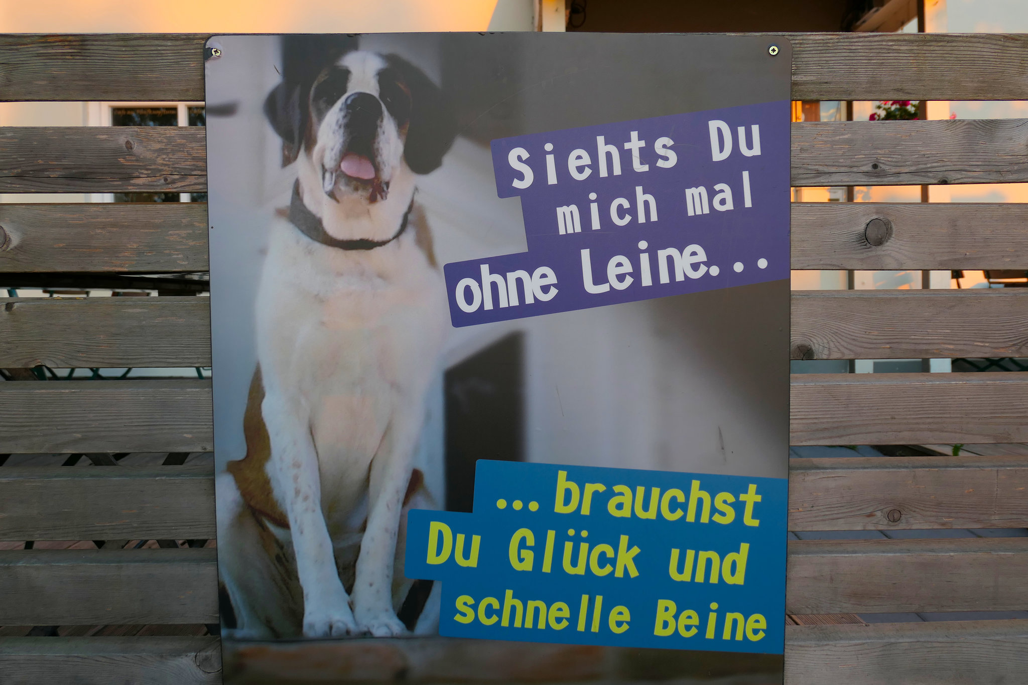 Warnung vor dem Hund