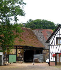 Ferme normande