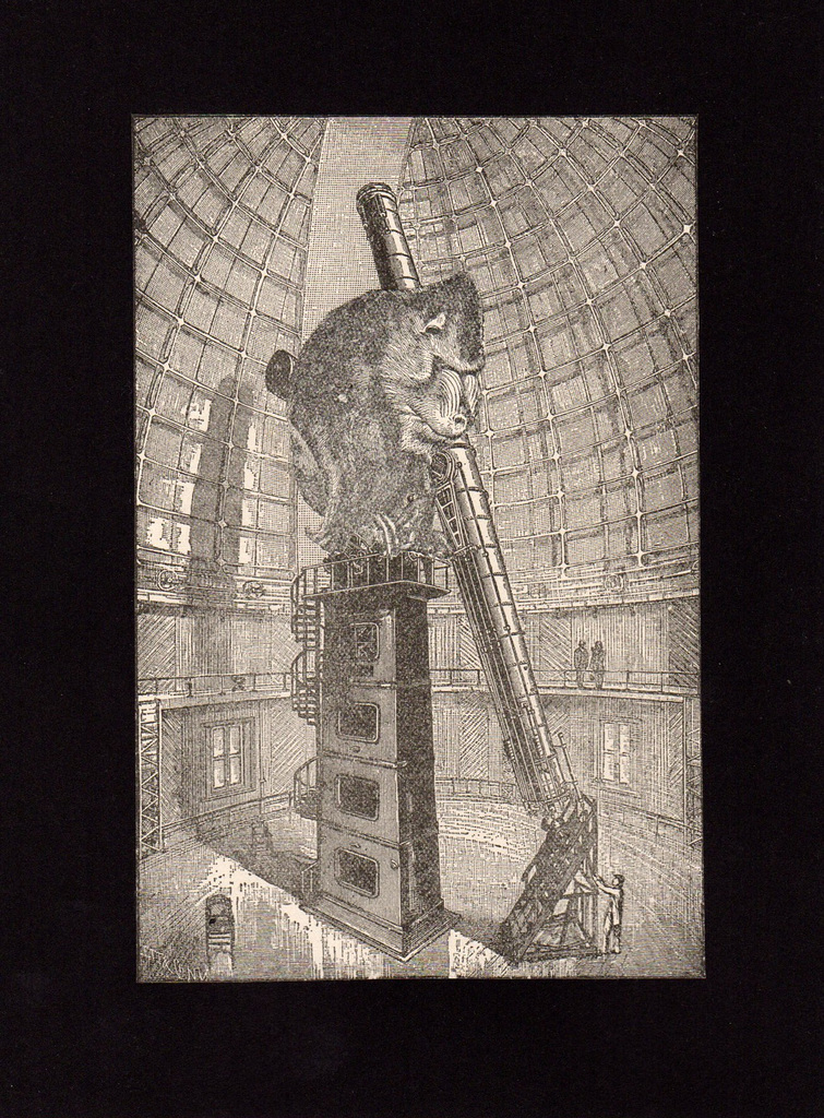 Midnight In The Max Ernst Observatory For Inexplicable Juxtaposition