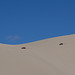 Sand Mountain, NV (0787)