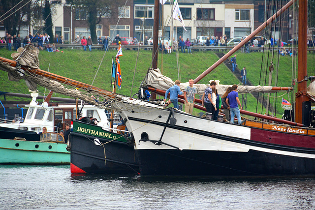 Sail 2015 – Bows