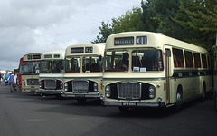 DSCF5468 Line up of Bristol REs at Showbus - 25 Sep 2016