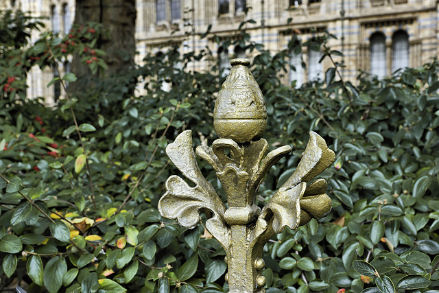 Wrought Iron Fence Spear – Natural History Museum, South Kensington, London, England