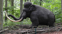 20190907 5954CPw [D~HRO] Mammut, Skulptur, Zoo, Rostock