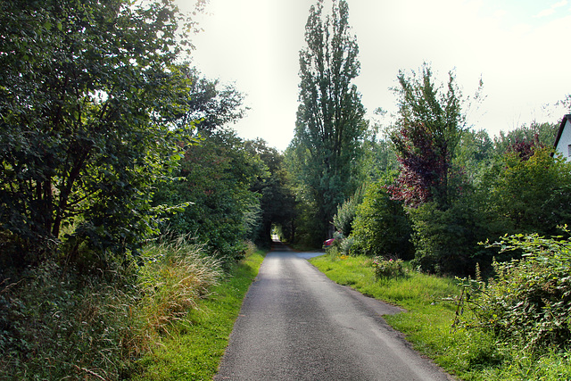 Hammer Weg (Dorsten) / 19.07.2020